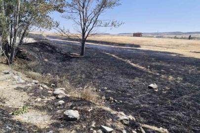 Arazide çıkan yangına çiftçi ve itfaiye ekipleri müdahale etti