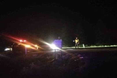 Elektrik tellerine çarpan kuş yangına sebep oldu