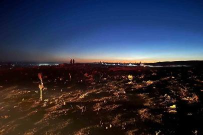 Eskişehir’de çıkan yangın ormana sıçramadan söndürüldü