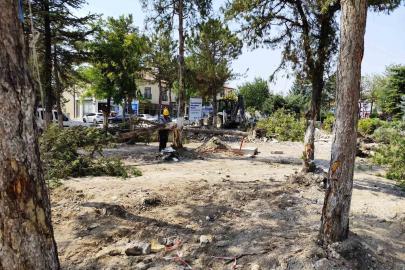 Gürhan Albayrak’tan CHP’li belediyelere sert tepki: "Güzelim ağaçlardan ne istediniz?"