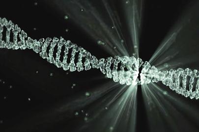 İnsan genomunda hayalet kod bulundu