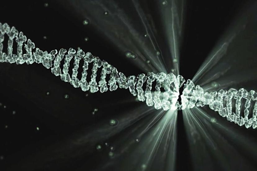 İnsan genomunda hayalet kod bulundu