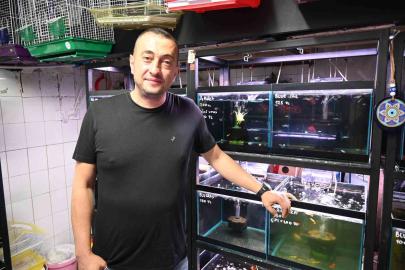 Yaz sıcaklarında evlerde balık ve kuş bakımı