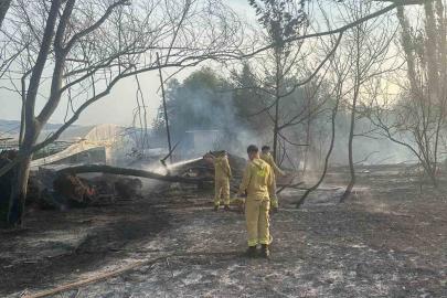 Anız yangınına itfaiye ekipleri müdahale etti
