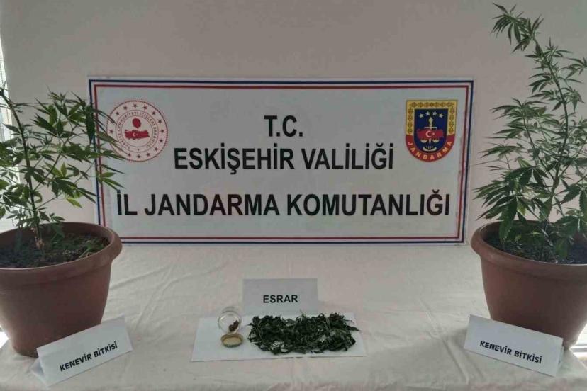 Balkondaki saksıların içinde  2 kök kenevir ve 47 gram esrar maddesi ele geçirildi