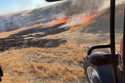 Eskişehir’de otluk alanda çıkan yangın ormana sıçramadan söndürüldü