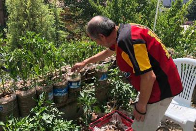 Eskişehirli esnaf iş yerinin balkonunu bahçeye çevirdi