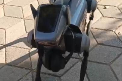Kent merkezindeki robot köpek görenleri hayrete düşürdü