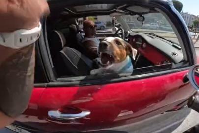 Motosiklet sürücüsünün sevmek istediği köpeklerin saldırısına uğradığı anlar kask kamerasında