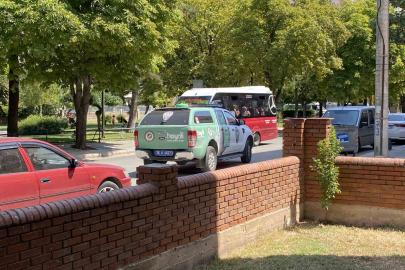 Polis ekipleri kedi ölümleriyle ilgili çalışma başlattı