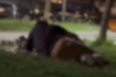 Eskişehir’de Kanlıkavak Parkı’nda Tepki Çeken Görüntüler!