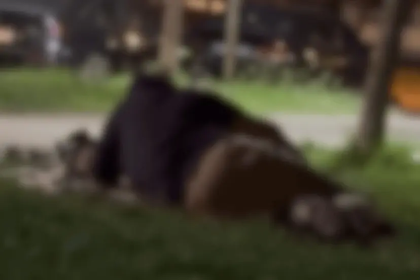 Eskişehir’de Kanlıkavak Parkı’nda Tepki Çeken Görüntüler!