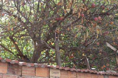 Eskişehir’de şaşırtan uyarı