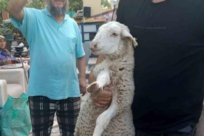 Kaybolan kuzuyu 2 gün misafir edip sahibine ulaştırdı