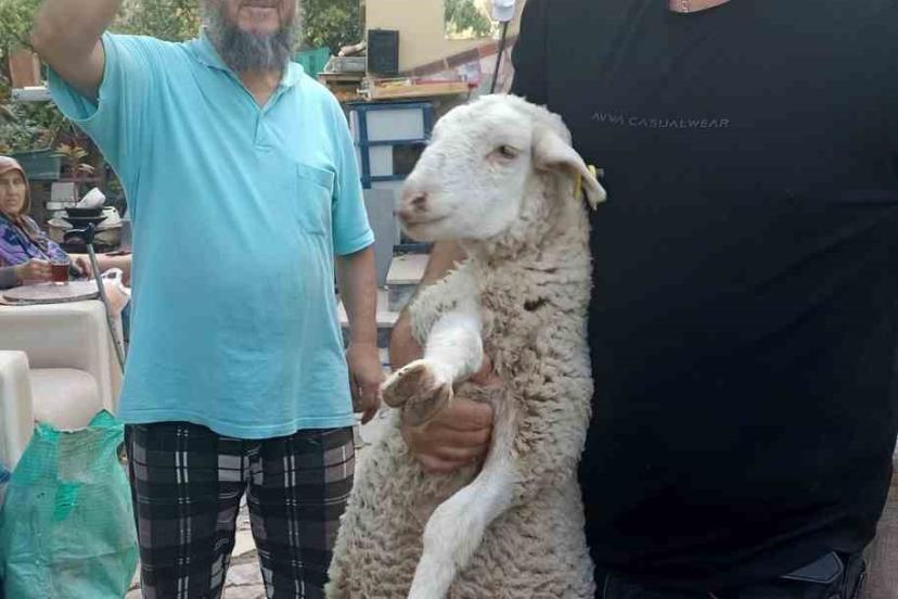 Kaybolan kuzuyu 2 gün misafir edip sahibine ulaştırdı