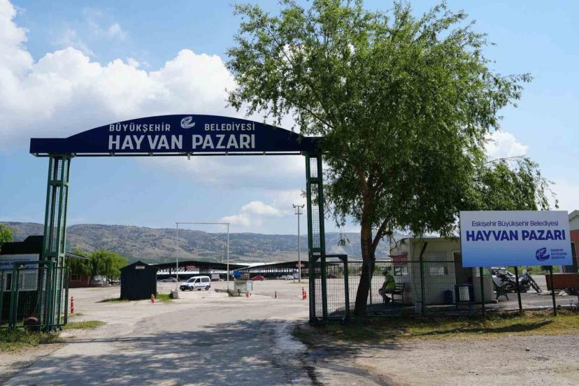 Büyükşehir Hayvan Pazarı şap hastalığı nedeniyle kapatıldı!