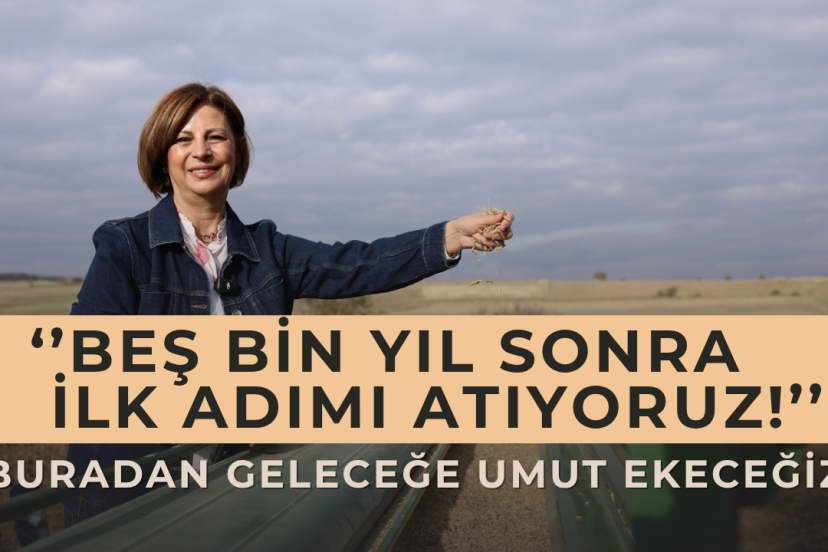 Geçmişin Bereketi, Geleceğin Umudu: Kavılca Buğdayı 5 Bin Yıl Sonra Eskişehir’de Toprakla Buluştu